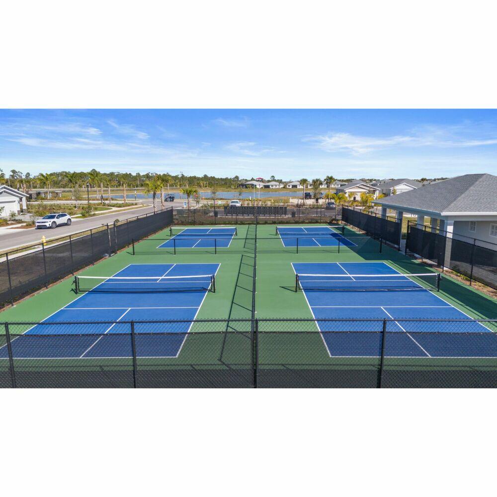 Custom Colored Pickleball Court
